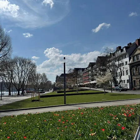 Rheinblick - Park And 