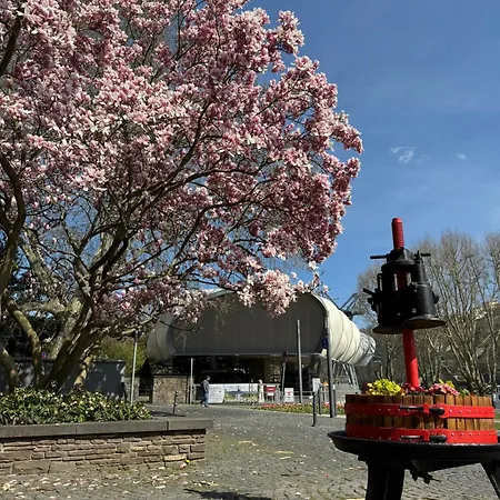 Rheinblick - Park And 