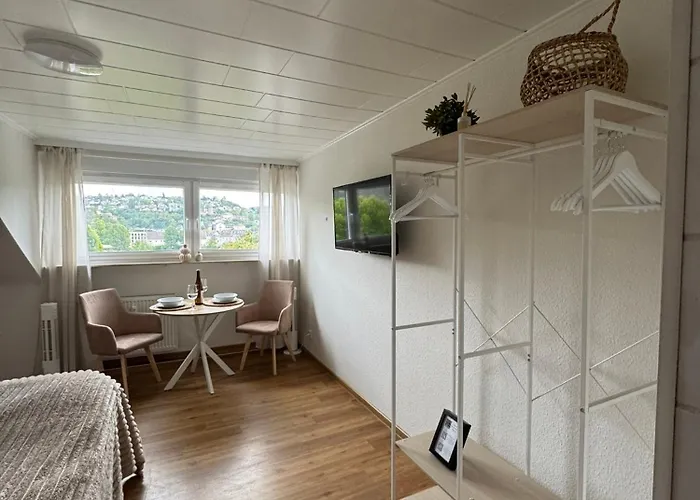 Rheinblick - Park And 