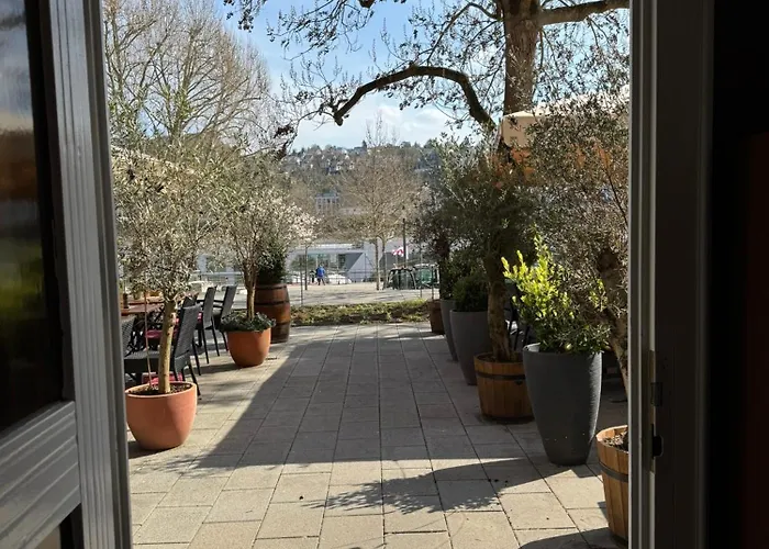 Rheinblick - Park And 