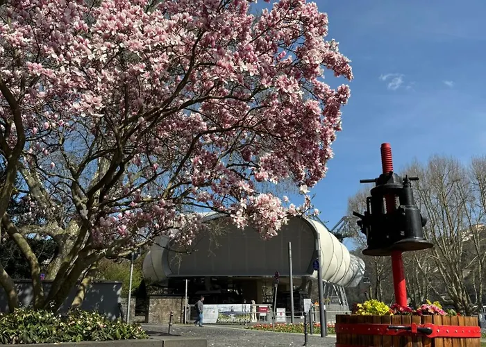 Rheinblick - Park And 